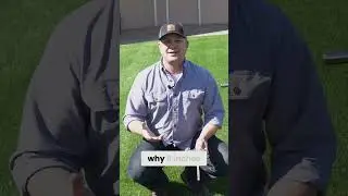 Unlock Your Lawn's Potential: Soil Sampling Secrets REVEALED!