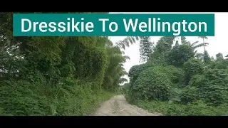 Dressikie To Wellington, St Mary, Jamaica