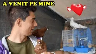 AM PRIMIT un PUI de JUCĂTOR cu DOUĂ MOȚURI