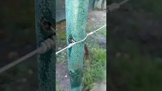 How to Securely Fasten a Steel Wire to a Metal Pole #diy #tips #tricks #skills