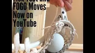 Flex Test and FOGO Moves (Warrior OG Jett)