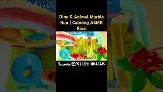 🦕🪨🌿Satisfying Marble Run Race | Dinosaur & Animal Blocks ASMR
