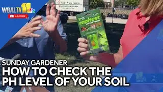 Sunday Gardener: Playing scientist on the lawn with a pH test