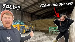 FARM GIRL FIGHTS A SHEEP!?... WE SELL SILAGE + I JUMP IN THE FEEDER!