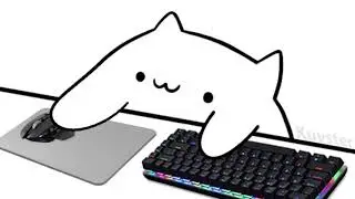 Bongo Cat Typing