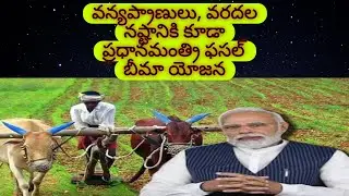 వన్యప్రాణులు, వరదల నష్టానికి కూడా ప్రధానమంత్రి ఫసల్ బీమా యోజన#appsc #tgpsc#group1#upsc#apdsc