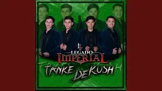 Tanke De Kush