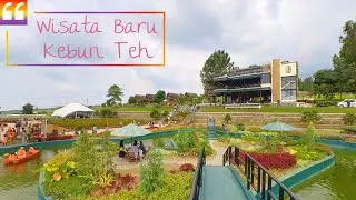 Baru Buka!! Goalpara Tea Park - Sukabumi