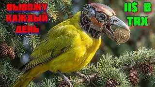 🐦ПРОКАЧАЛ ЗА ЗВЁЗДЫ НОВЫЙ АККАУНТ И ВЫВОЖУ ПО 11$ В TRX КАЖДЫЙ ДЕНЬ
