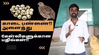 காடை பண்ணை || உங்கள் கேள்விகள் பண்ணையாலரின் பதில்கள் - Part 1 | TFO Farm channel