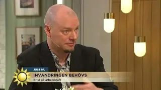 Invandringen behövs! - Nyhetsmorgon (TV4)