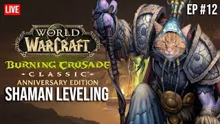 World of Warcraft Classic Anniversary | Spineshatter | Shaman Leveling Ep 12