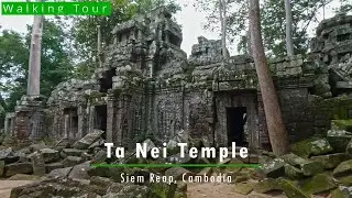 Walking Tour of Ta Nei Temple, Siem Reap, Cambodia