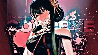 [Goodbye]-Spy×Family_Yor-VS-Loid_1080P-HD