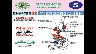 PST TEST PREPARATION I SCIENCE CLASS 5 I PST JST HST TEST PREPARATION I MR USTAAD I PST JST HST JOBS