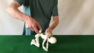 3D printed tabletop puppet by  Nik Palmer of Noisy Oyster