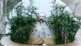 Proponiamo in Vendita intero piano in Edificio Storico Villa Isnello a Palermo