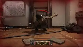 The Vanguard experience