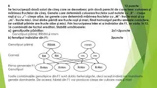 Biologie, test de antrenament pentru Bacalaureat, cls  IX-X