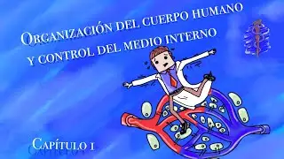 Fisiolog&iacute;a : Organizaci&oacute;n del cuerpo humano y control del medio interno (ENFOQUE FACSA) parte I