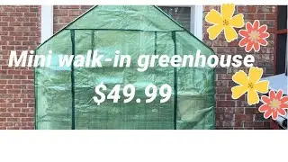 Mini Walk-in Green House From Amazon $49.99- Perfect for My Herbal Plants!