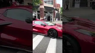 Rare Red Corvette E-Ray Hybrid Supercar at Car Show! 🔥