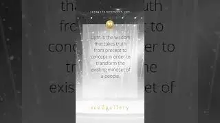 Light Transforms Mindsets | Quote | Seed Gallery #quotes #mindset #truth #shorts