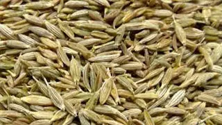 Cumin seeds cleaning processing plant made by perfect technology Rajkot