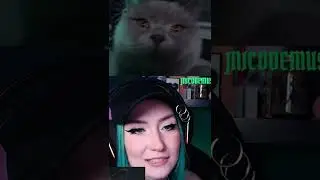 STREAMER KITTY #shorts #short #kitty