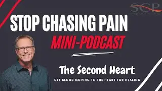 The Second Heart: Stop Chasing Pain Mini-Podcast