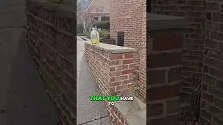 Brentwood Exterior Cleaning: Retaining Wall & House Wash #shorts
