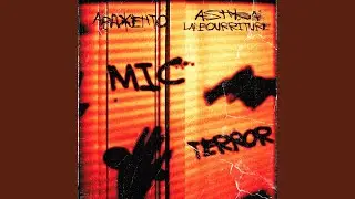 Mic Terror