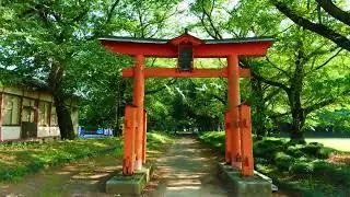 4K Walking Tour - Higashifukida Tenman Shrine in Yachiyo, Ibaraki - Hidden Spiritual Sanctuary ⛩️🌿