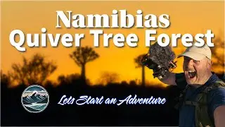 PHOTOGRAPHY in Namibia&rsquo;s Quiver Tree Forest &ndash; with some bonus ASTROPHOTOGRAPHY yeay! 🤗