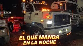 EL OSO KODIAK ESTÁ CASI LISTO PARA LA PISTA! 
