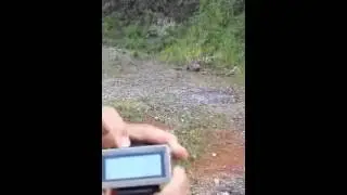 Fast Draw From Concealment