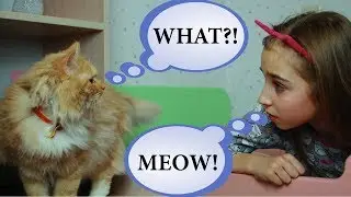 I and My Rescued Cat BODY SWAP! Learning videos for kids and family