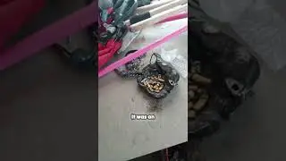 My Stolen RV Was TRASHED 🚐😡 | Shocking Recovery After Theft