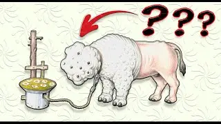 The Weirdest Book: Codex Seraphinianus