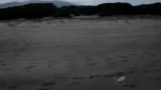 kaiafas