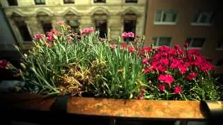 Sounds of Europe: Cologne street life