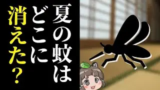 【あの生き物は今】なぜ蚊は日本の夏から姿を消したのか？