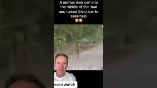 18104672152375275