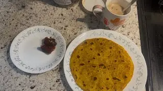 Canada ma Thepla, Bournvita, ne Gujarati athana ni moj/Ravi Vasara Vlogs/Gujarati in Canada.