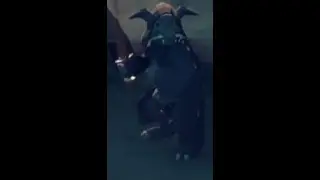 these streets aren't safe part 2