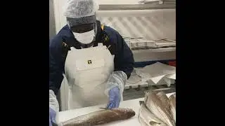 le m&eacute;tier  poissonnier comment faire un Merlan en filet