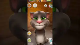 TOM CAT Muscle Car Rasing Gaming Run Power Video