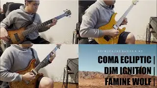 Covers - Between the Buried and Me: Dim Ignition | Famine Wolf