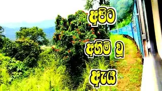 දිට්වා එන්න කලින් ගියා🚂🌄 #travel to kandy