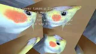 Showing off a Software Renderer [2]